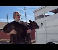 Watch Joaquin Phoenix rescue a cow and her calf two days after giving powerful Oscars speech