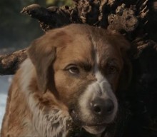 Film Review: Harrison Ford’s The Call of the Wild Leaves Just Enough Meat on the CGI Bone