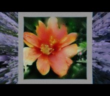 Hayley Williams shares love for nature on new Boygenius collaboration ‘Roses/Lotus/Violet/Iris’