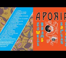 Sufjan Stevens and Lowell Brams Drop New Album Aporia Early: Stream