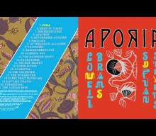 Album Review: Sufjan Stevens and Lowell Brams Design an Atmosphere for Daydreaming on Aporia