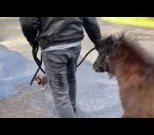 MEGADETH’s DAVE MUSTAINE Takes His Miniature Horse On A Walk (Video)