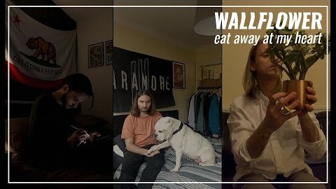 Wallflower: “We are a reaction to everything we don’t want to be – all the best music is”