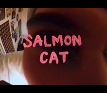 Salmon Cat: Dreamy bedroom-pop aiming for preemptive nostalgia