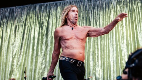 Iggy Pop calls for protection of big cats in Florida