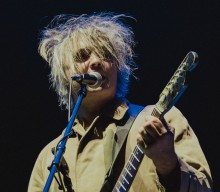 Pete Doherty banned from driving after late night scooter ride searching for escaped dog