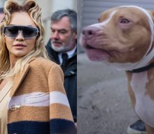 Rita Ora faces backlash over use of dog with cropped ears in music video