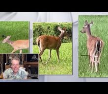 TED NUGENT Pledges $5,000 For Information On Florida Deer Shootings