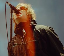 Fan claims Liam Gallagher took photos with Reading Festival crowd for his next album
