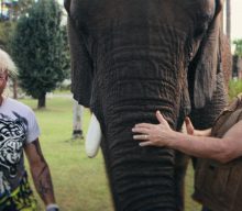 ‘Tiger King: The Doc Antle Story’ review: salacious spin-off swaps facts for farce