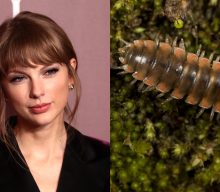 Scientists name new species of millipede after Taylor Swift