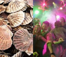 Scientists discover that scallops “love” disco lights