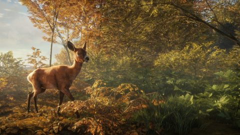 ‘theHunter: Call of the Wild’ is a more meditative take on the shooter