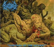 Survival Of The Sickest