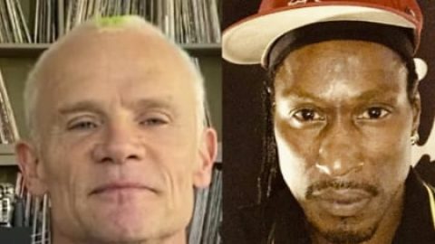 RED HOT CHILI PEPPERS’ FLEA Pays Tribute To D.H. PELIGRO: ‘I Love You With All My Heart’