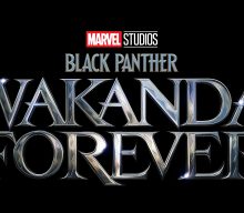 Who is Black Panther in ‘Wakanda Forever’?
