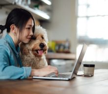 UK-based startup Joipaw is creating video games for dogs