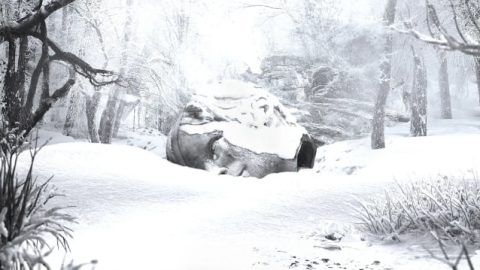 SZNZ: Winter